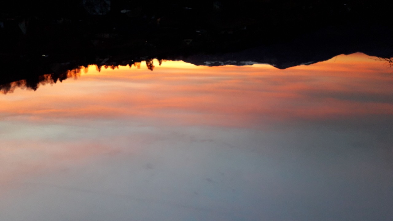 Photo of Others in Geishouse