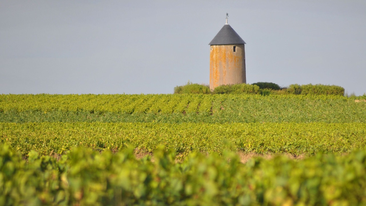 Photo of Outdoor in Saint-Hilaire-de-Clisson