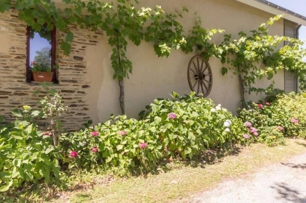 Photo of Outdoor in La Chevallerais