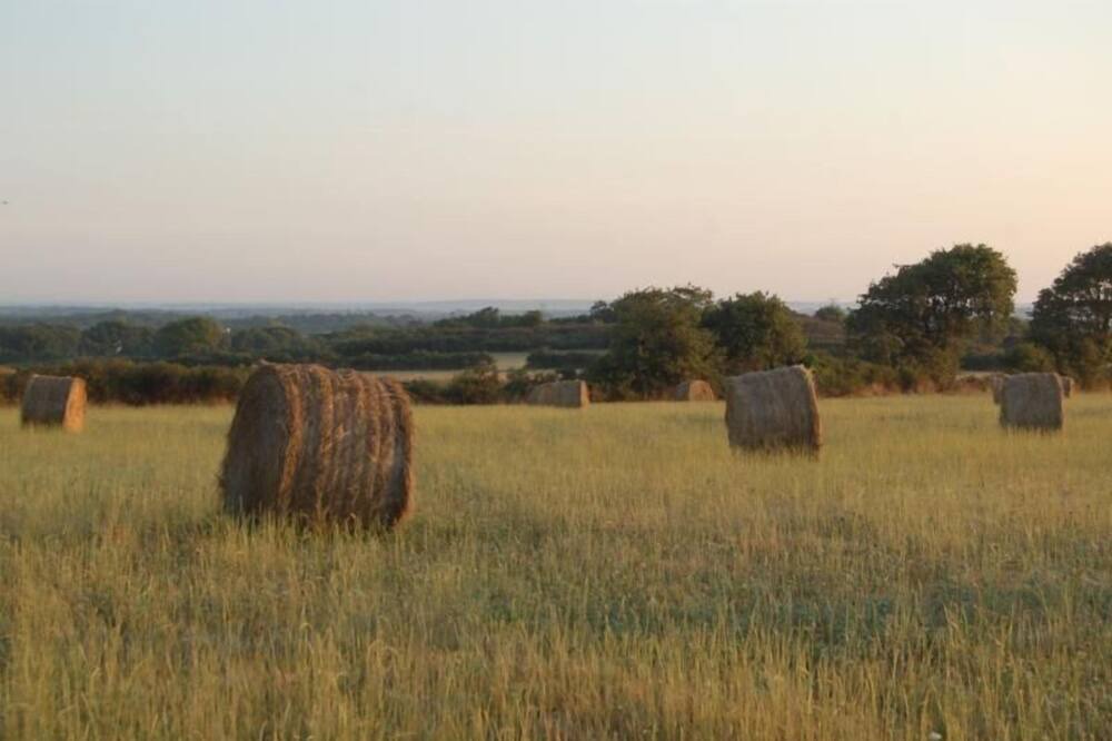 Photo of Outdoor in Casson