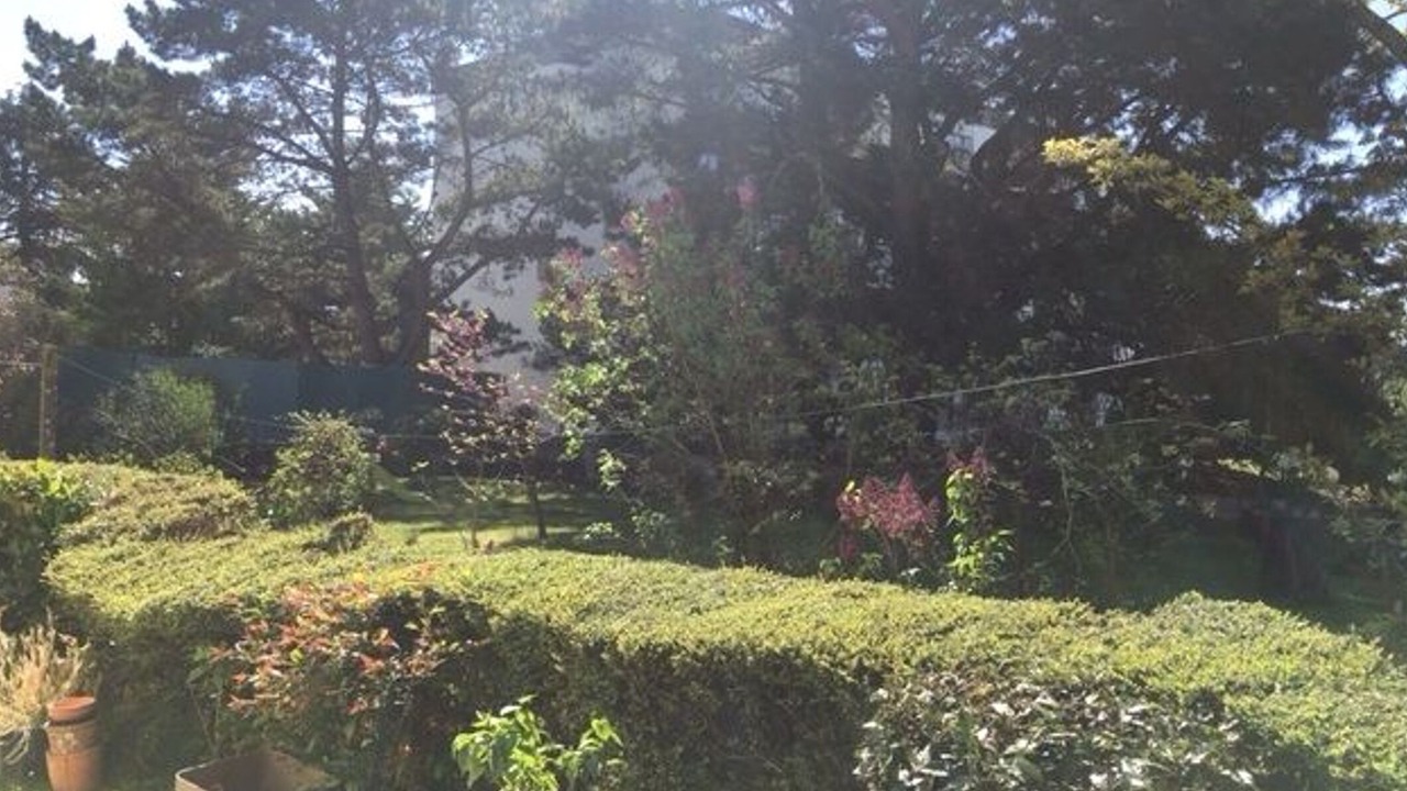 Photo of Others in Gaudiniere