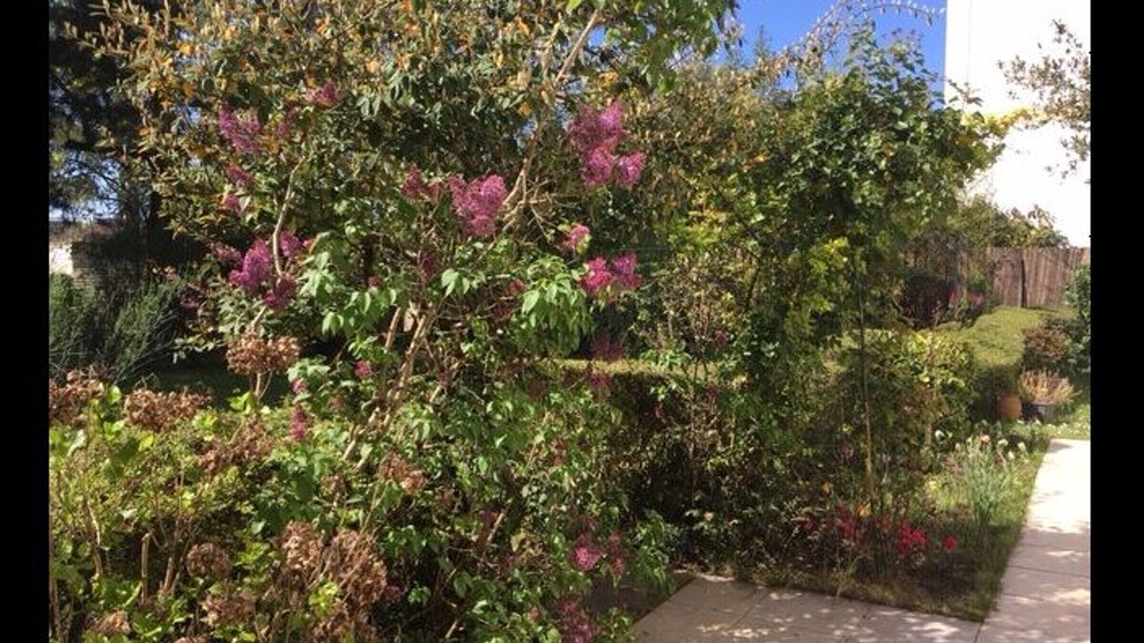 Photo of Outdoor in Gaudiniere