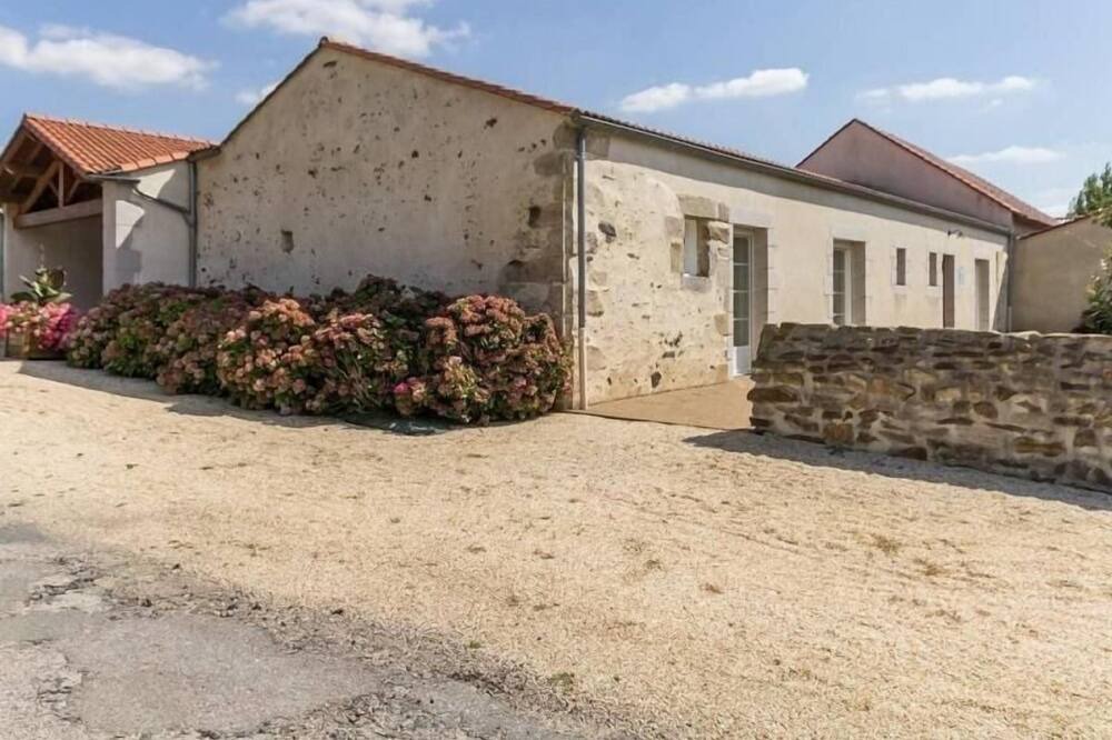 Photo of Outdoor in Vieillevigne