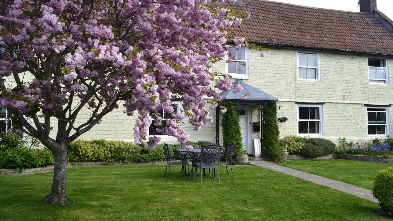 Photo of Outdoor in Ashcott