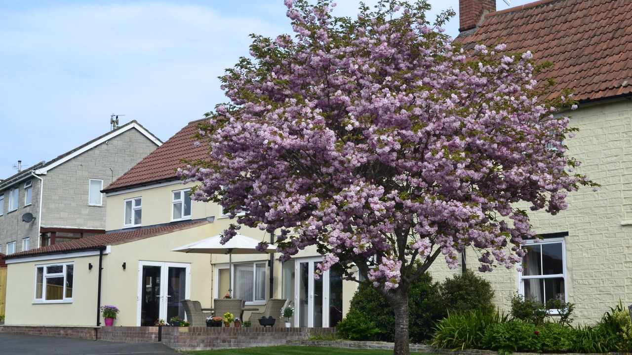 Photo of Outdoor in Ashcott