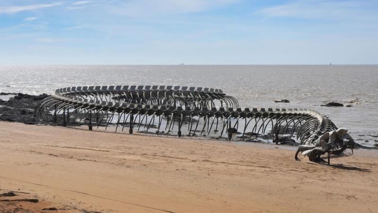 Photo of Others in Saint-Brevin-l'Ocean