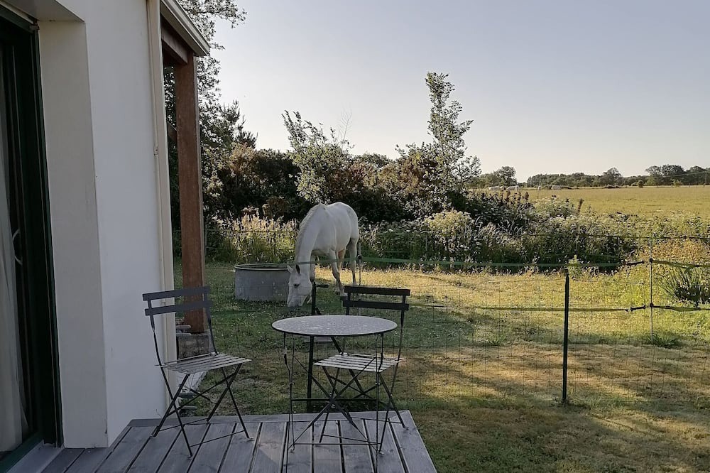 Photo of Patio Balcony in Chauve