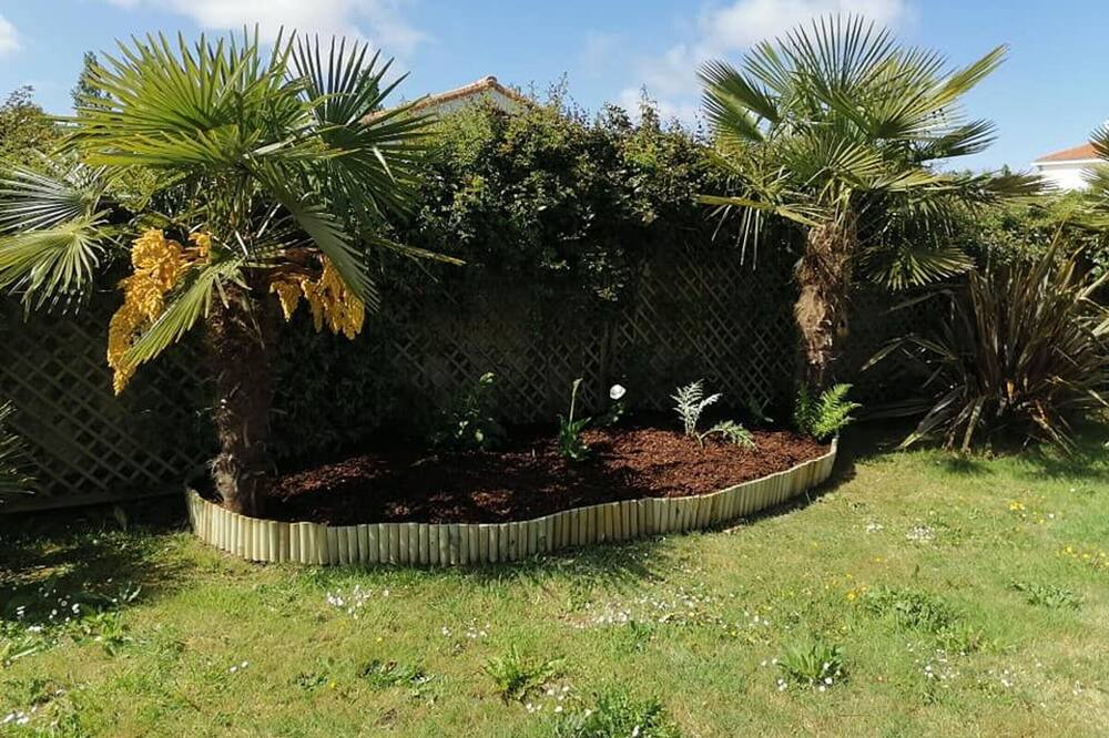 Photo of Outdoor in Chauve