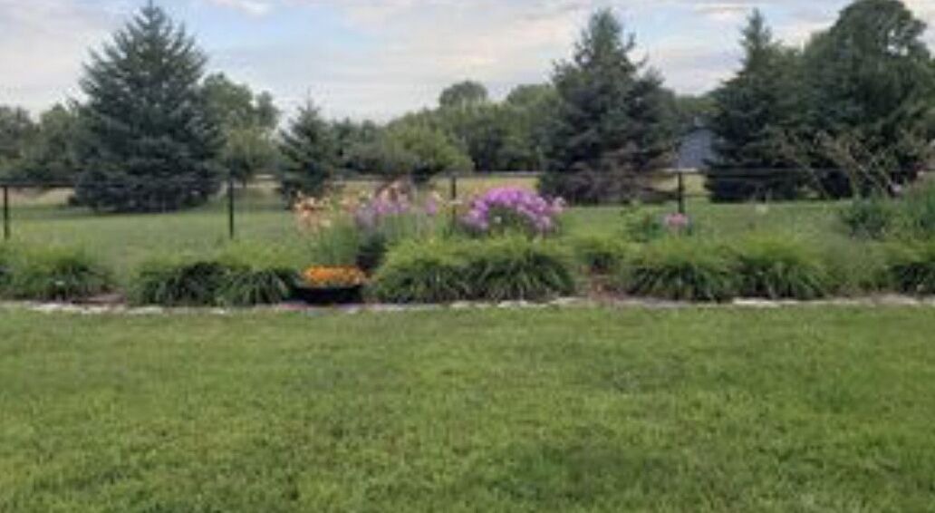 Photo of Outdoor in Ingalls