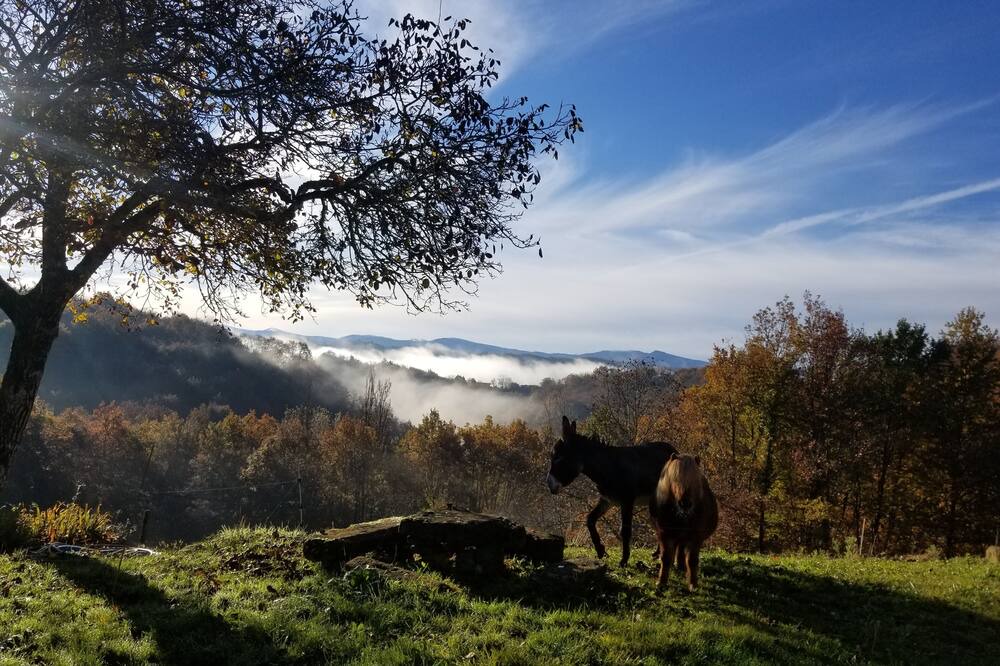 Photo of Outdoor in Le Mas-d'Azil
