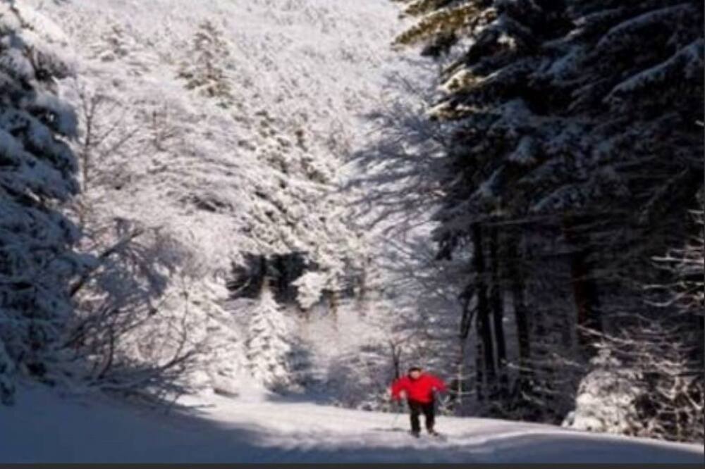 Photo of Others in Mille-Isles