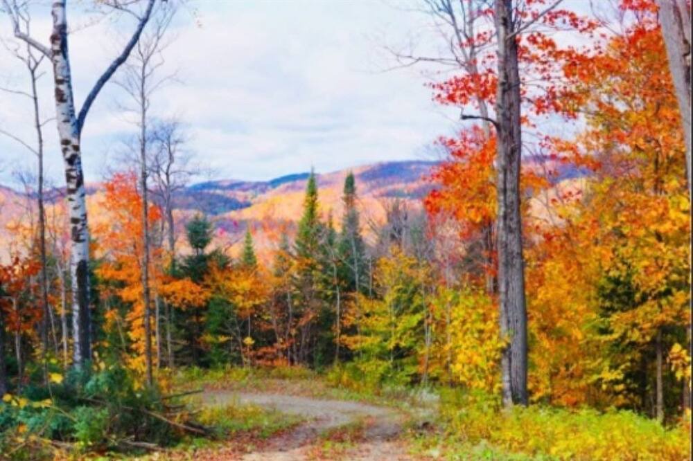 Photo of Outdoor in Mille-Isles