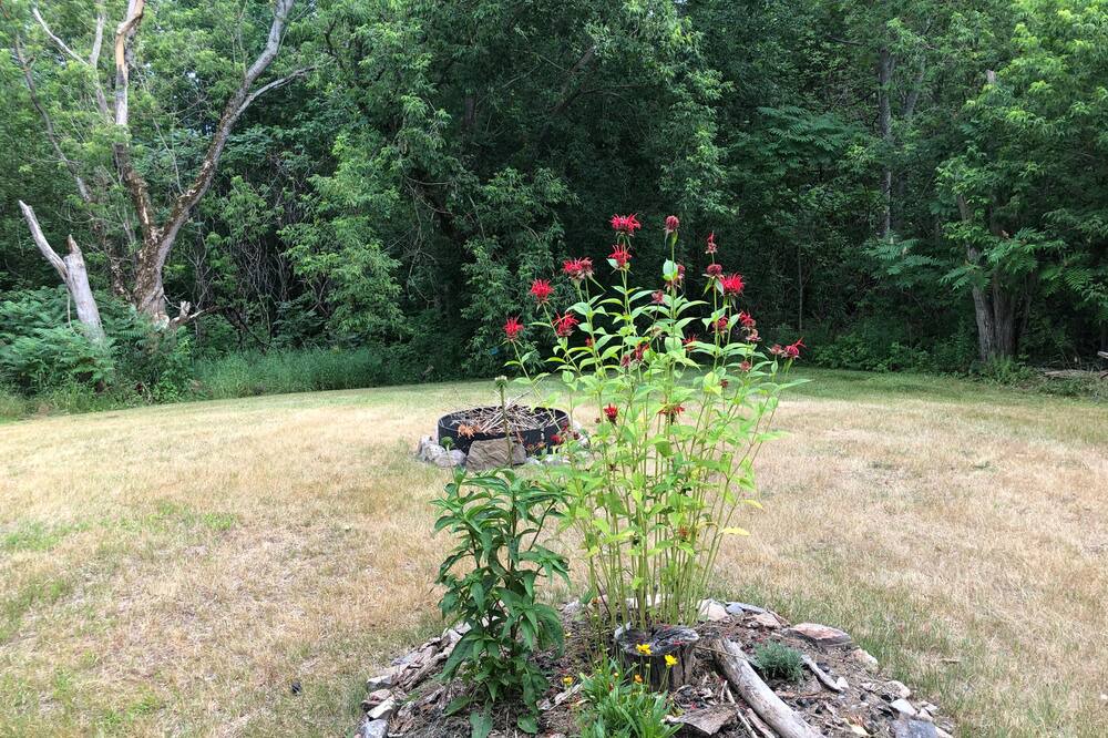 Photo of Outdoor in Calabogie