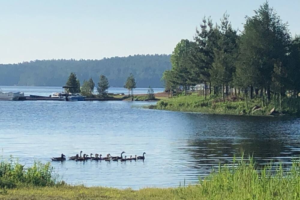 Photo of Others in Calabogie