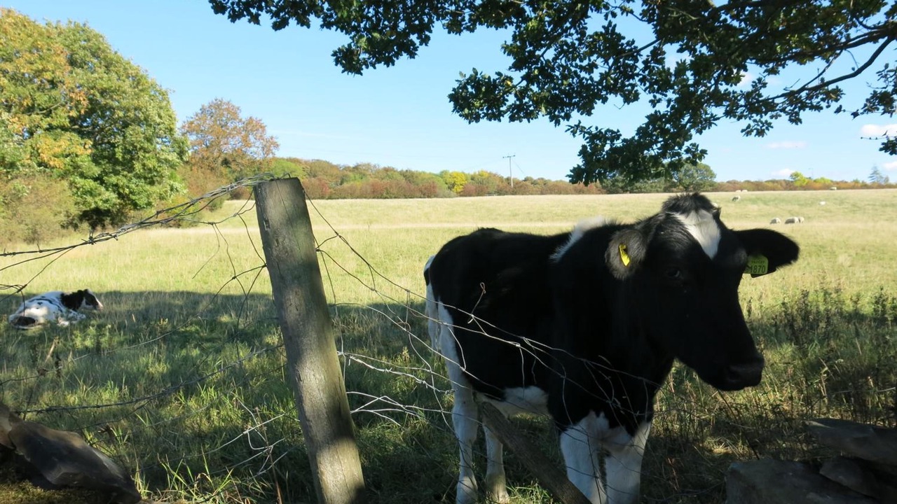 Photo of Outdoor in Wortley