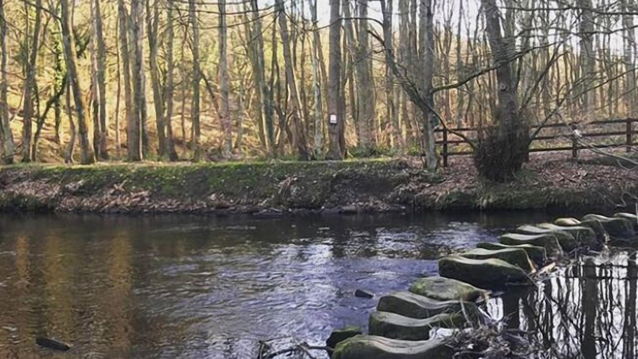 Photo of Outdoor in Wortley