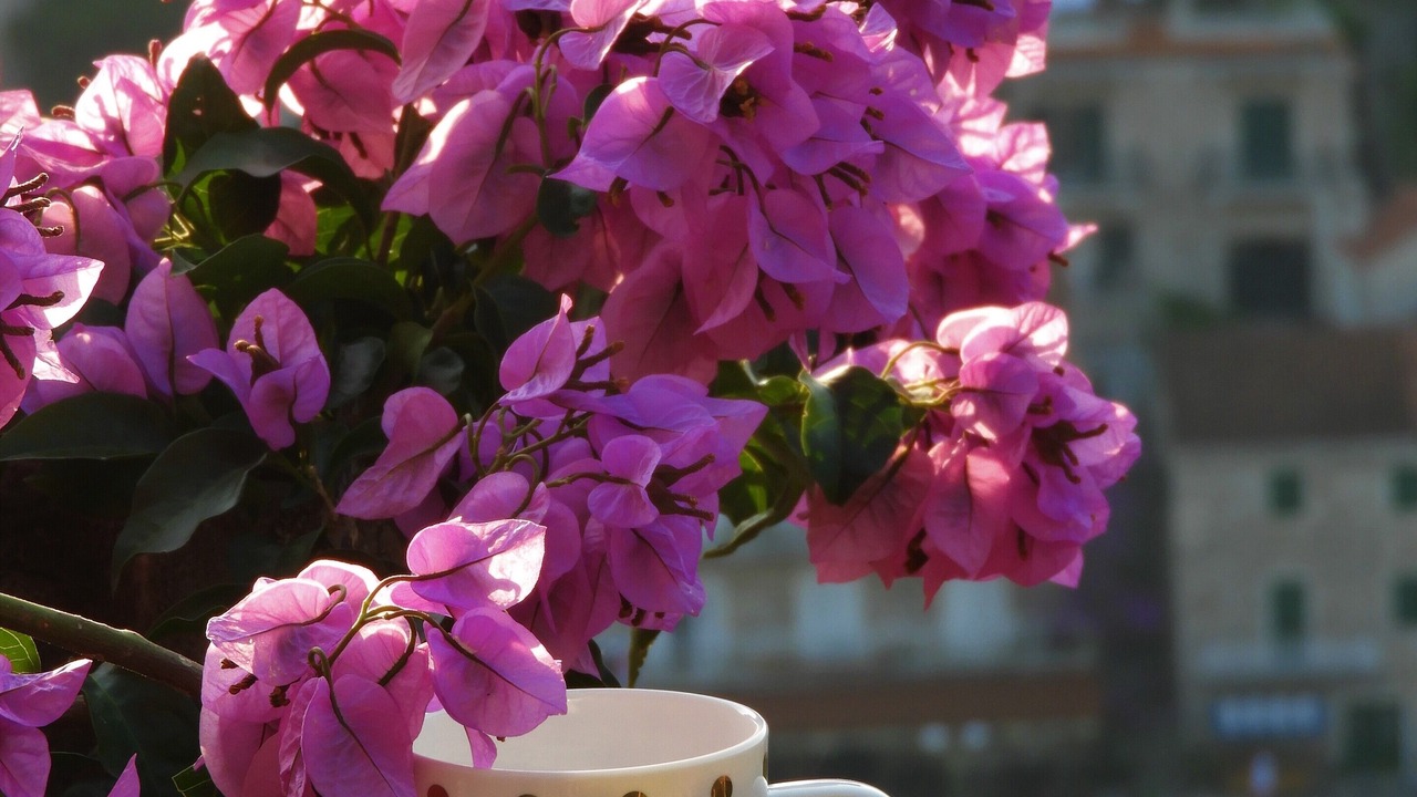 Photo of Outdoor in Stomorska