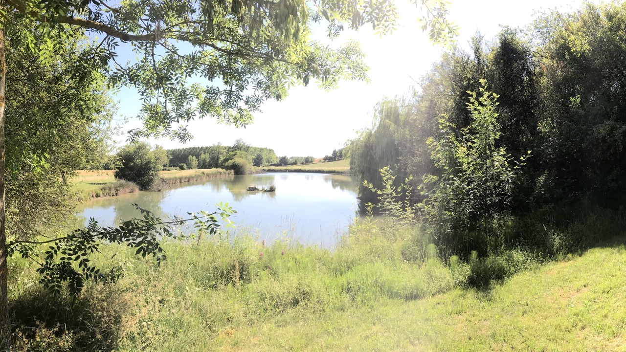 Photo of Outdoor in Gasques
