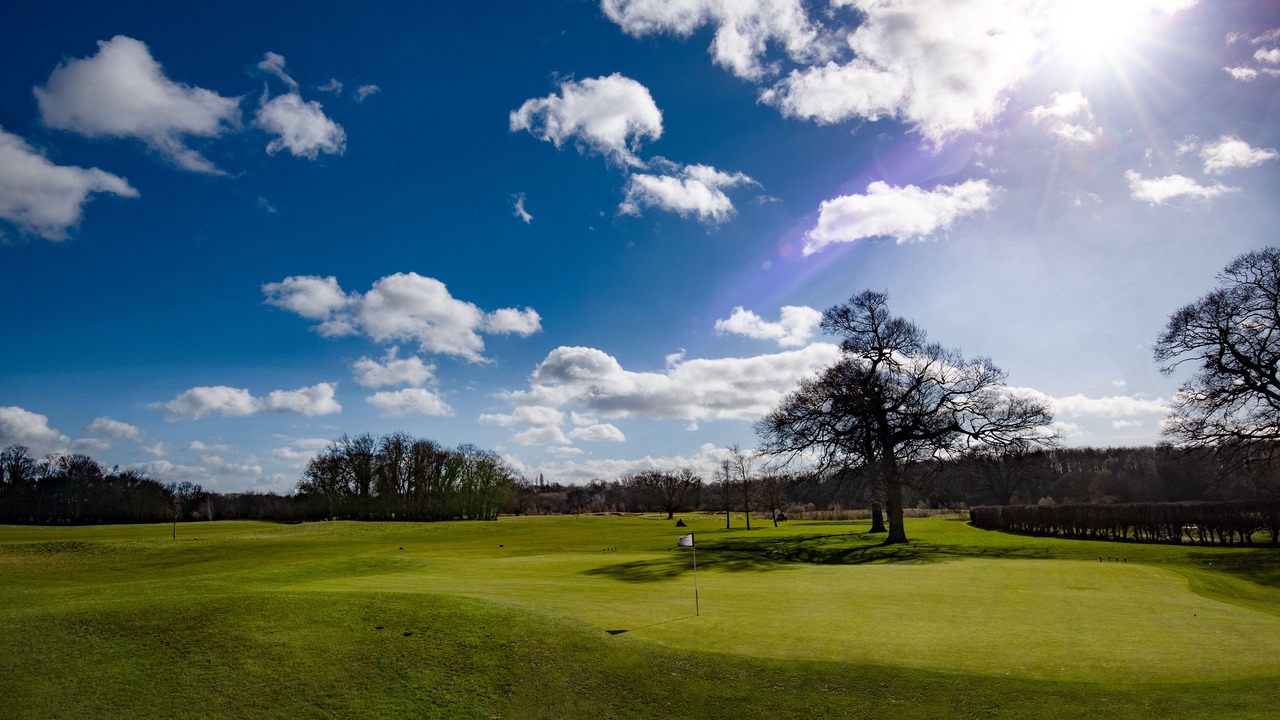 Photo of Others in Hurworth-on-Tees