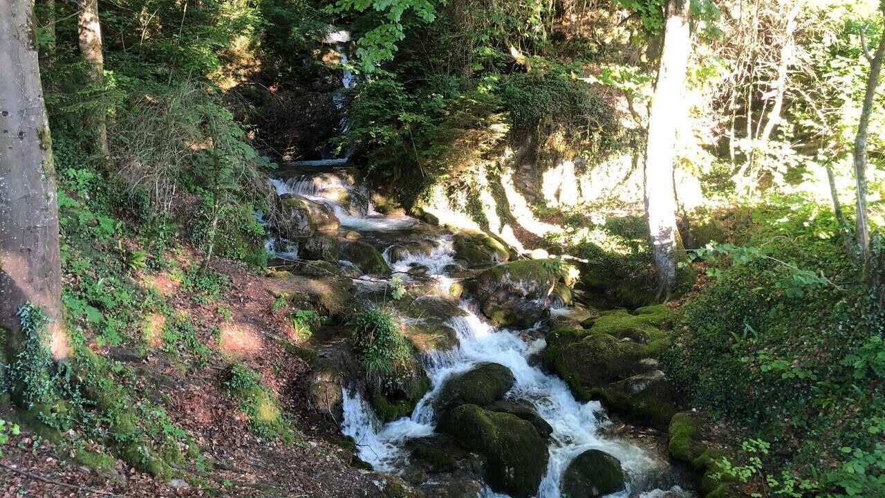 Photo of Outdoor in Le Bourget-du-Lac