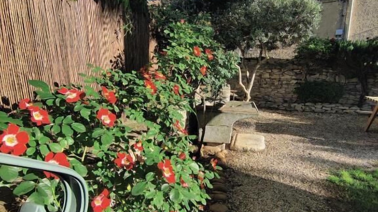 Photo of Outdoor in Tavel