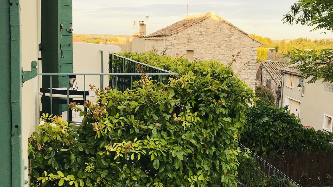 Photo of Others in Tavel