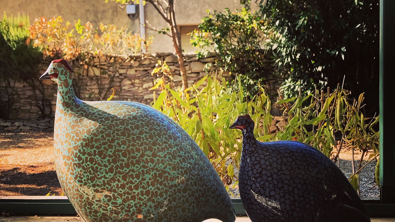 Photo of Outdoor in Tavel