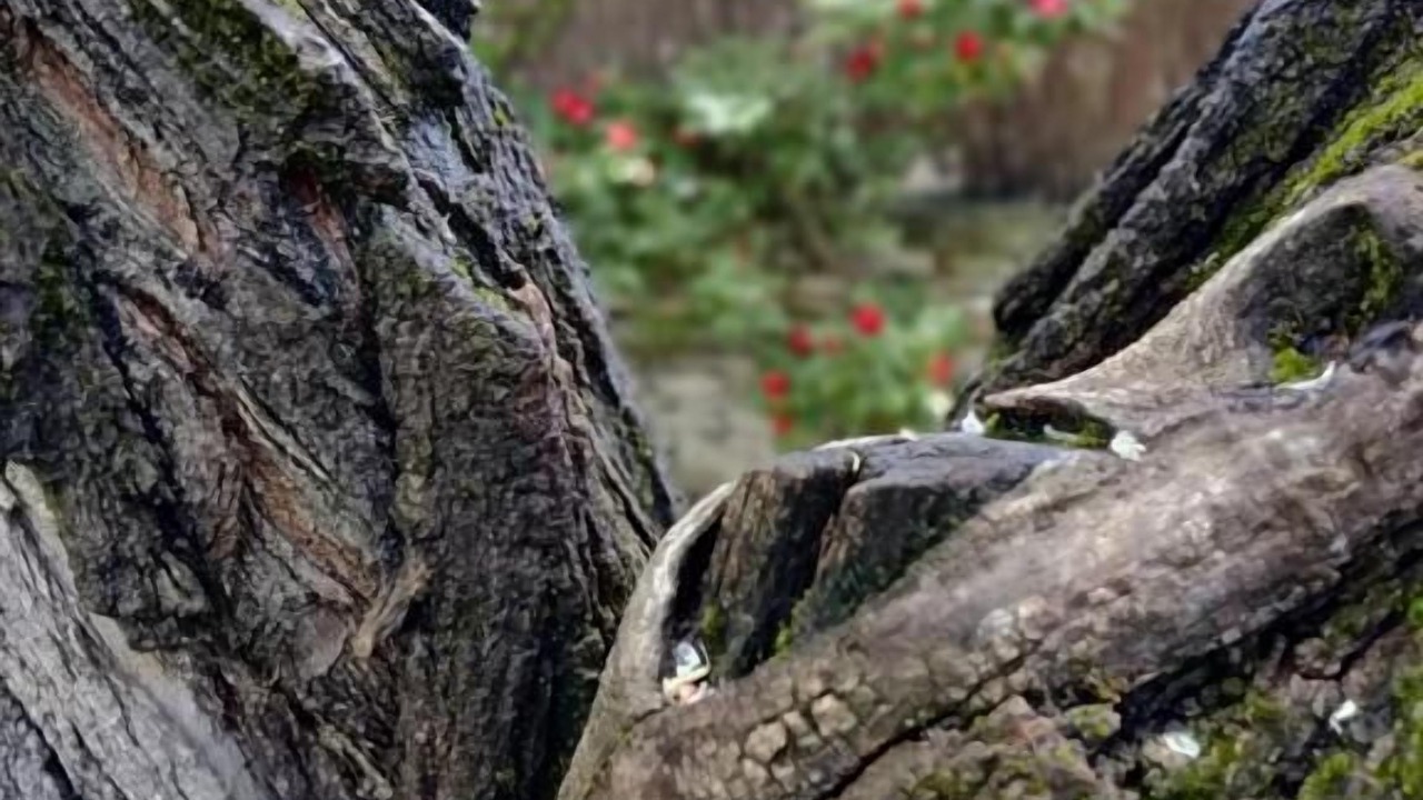 Photo of Outdoor in Tavel