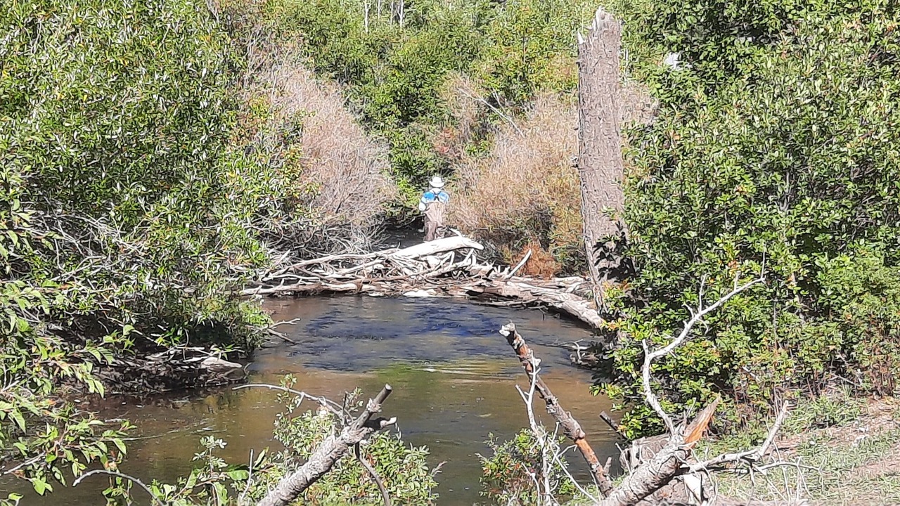 Photo of Outdoor in Angel Fire