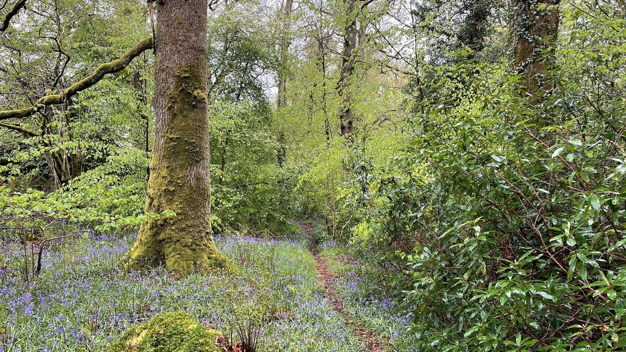 Photo of Others in Saint John's Town of Dalry