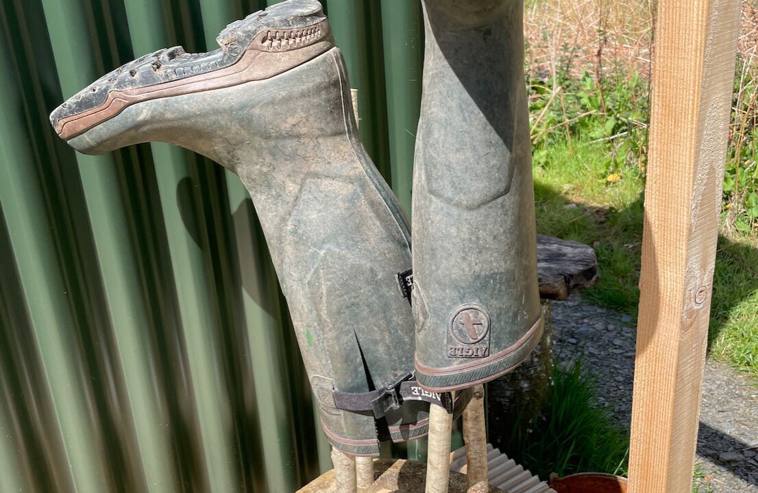 Photo of Others in Saint John's Town of Dalry