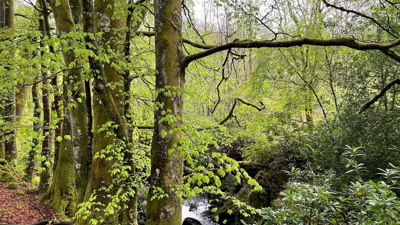 Photo of Others in Saint John's Town of Dalry