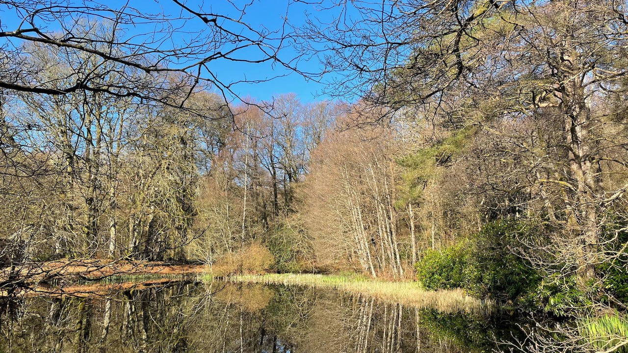 Photo of Others in Saint John's Town of Dalry