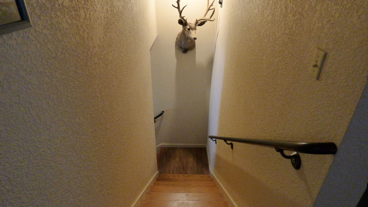 Photo of Others in Plain