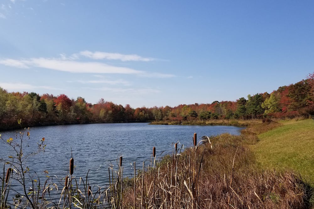 Photo of Others in Albrightsville