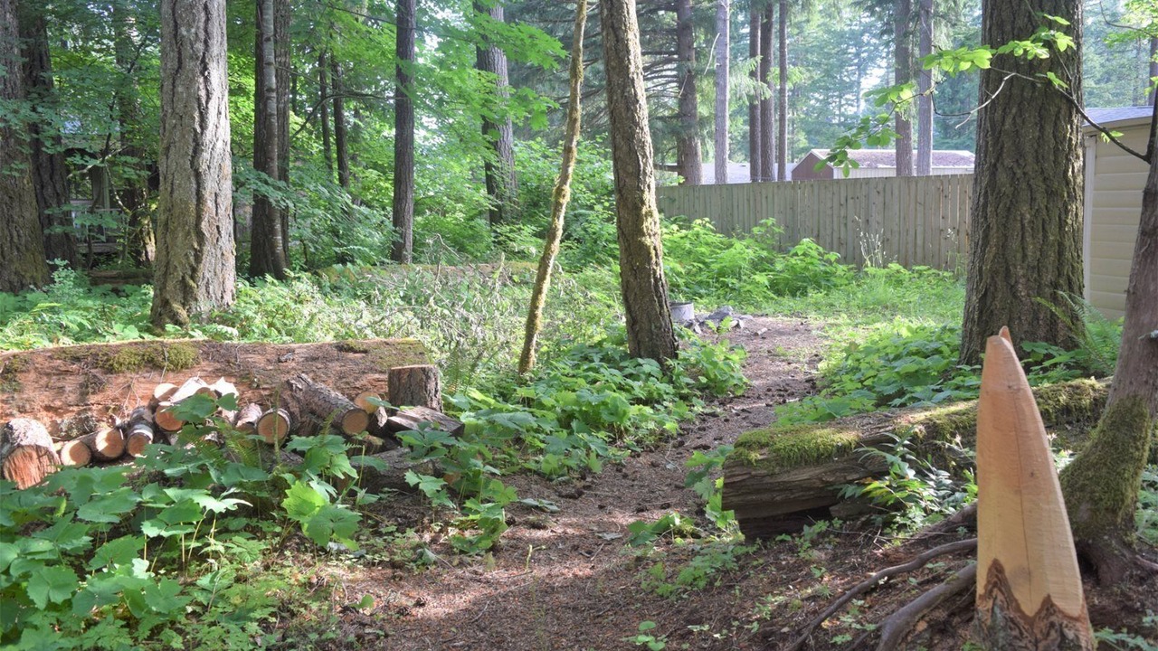 Photo of Others in Packwood