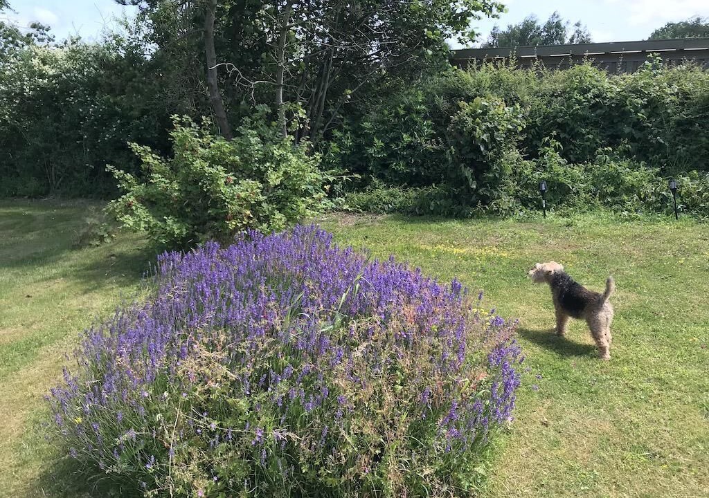 Photo of Outdoor in Hundested