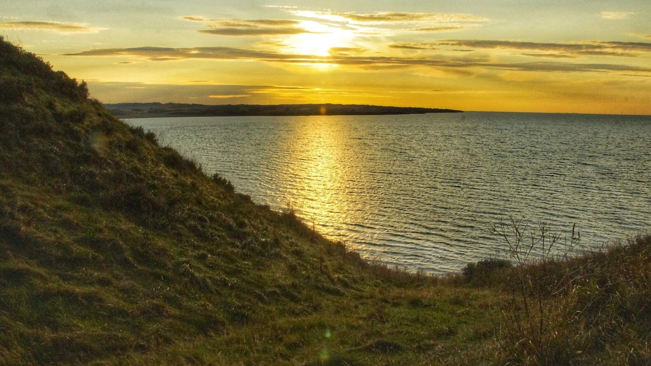 Photo of Others in Remmer Strand