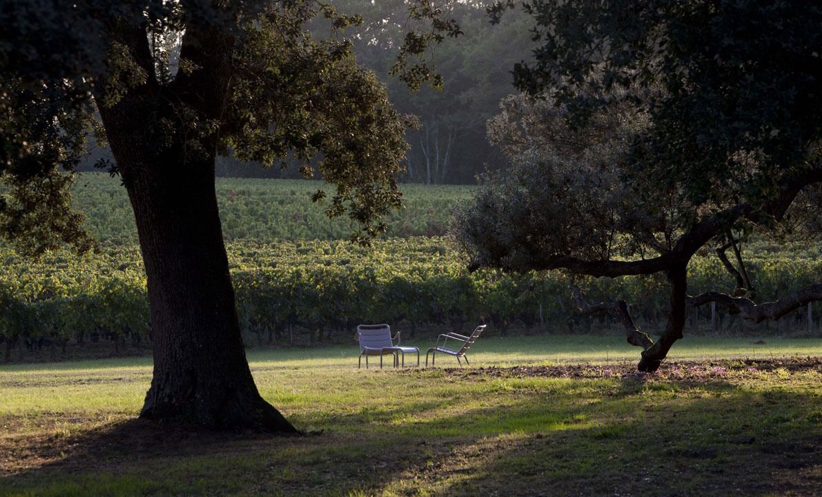 Photo of Outdoor in Robins Bay