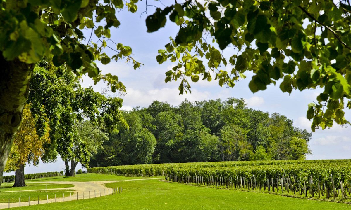 Photo of Others in Robins Bay