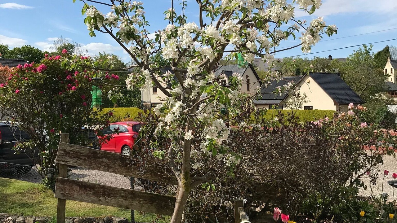 Photo of Others in Fort William