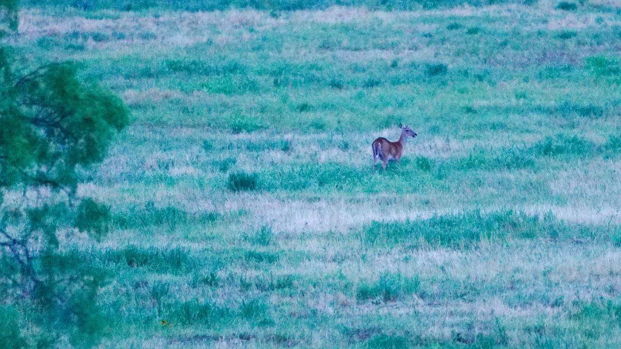 Photo of Others in Throckmorton County