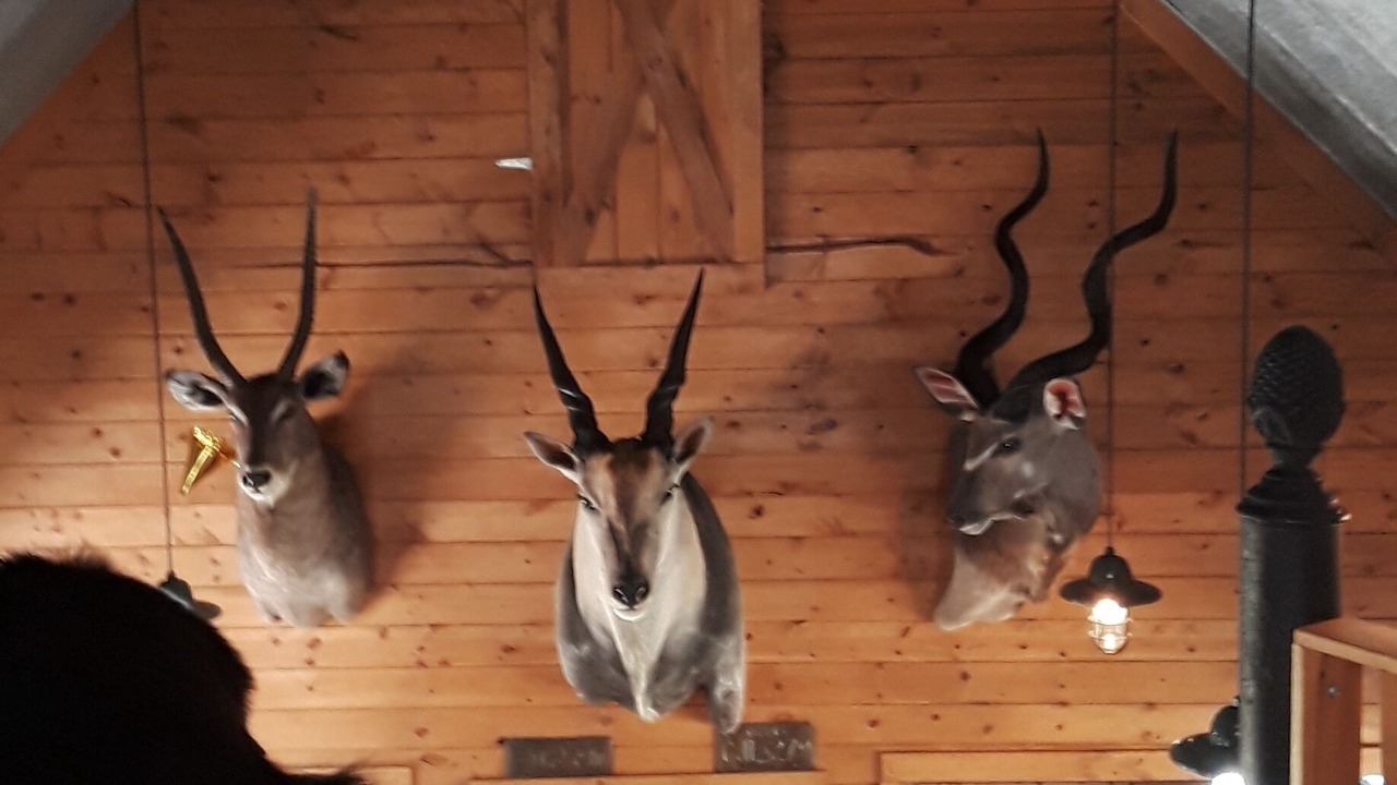 Photo of Others in Throckmorton County