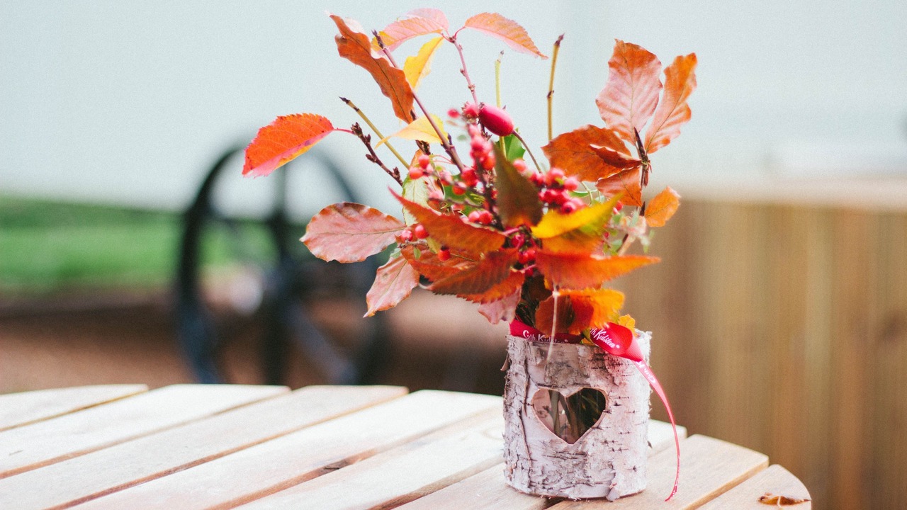 Photo of Others in Low Catton