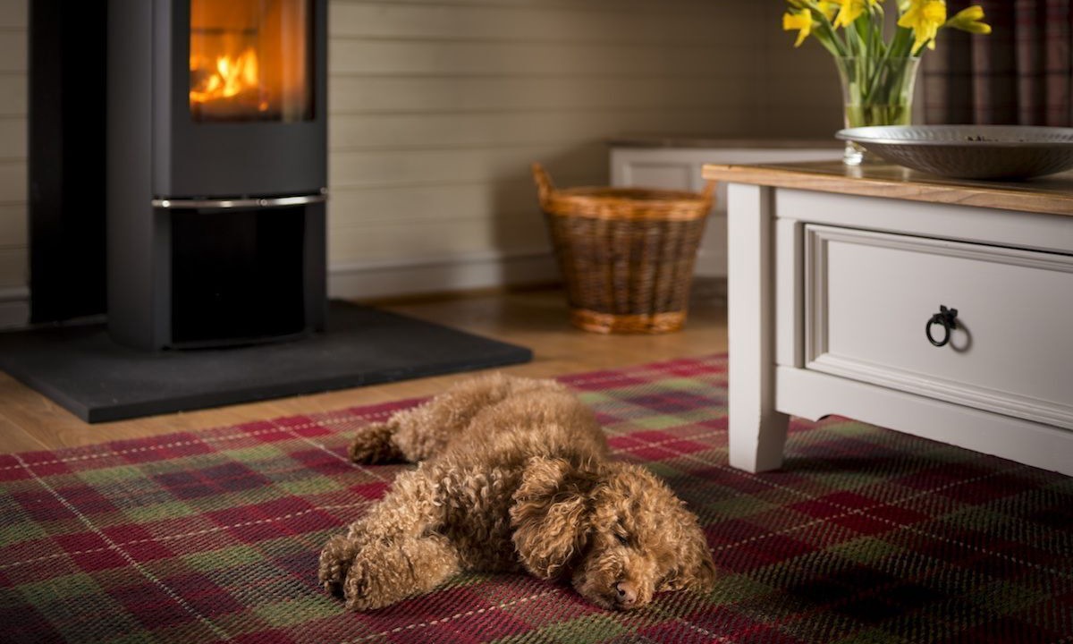 Photo of Others in Low Catton