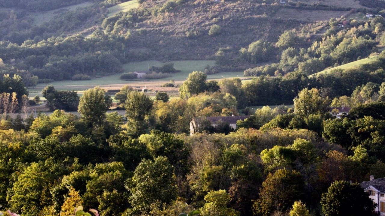Photo of Outdoor in Cordes-sur-Ciel