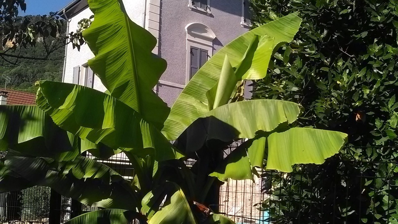 Photo of Outdoor in Villebois