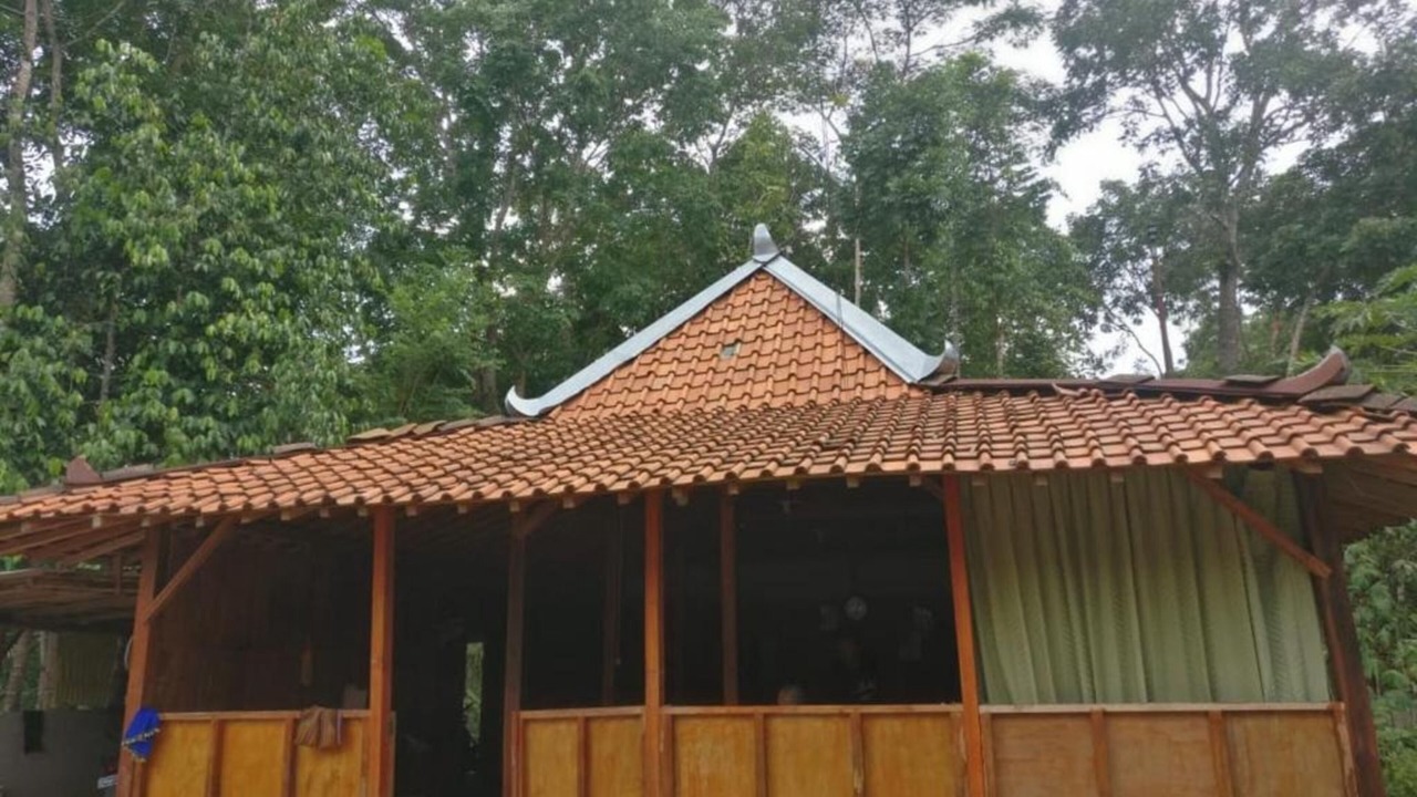 Photo of Outdoor in Muntuk