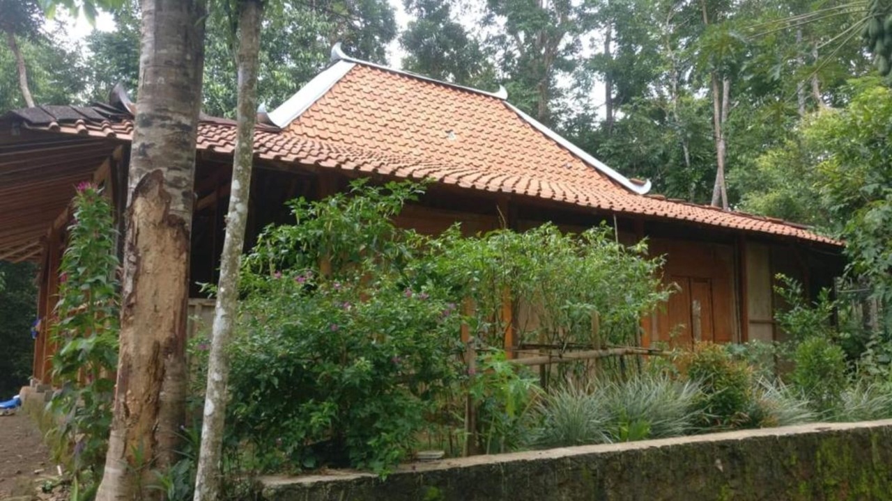 Photo of Outdoor in Muntuk