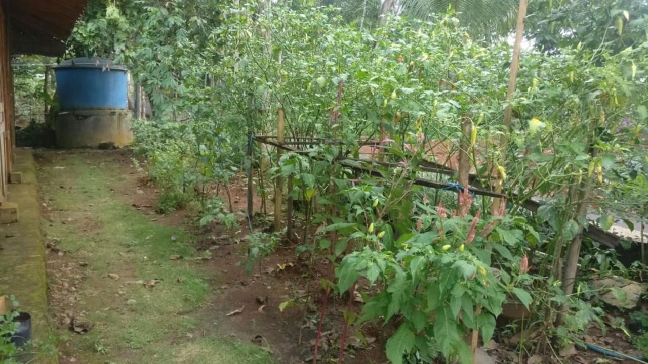 Photo of Outdoor in Muntuk